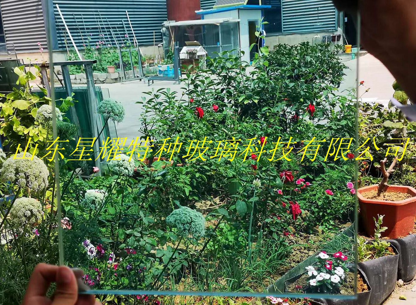 彩色夹胶玻璃